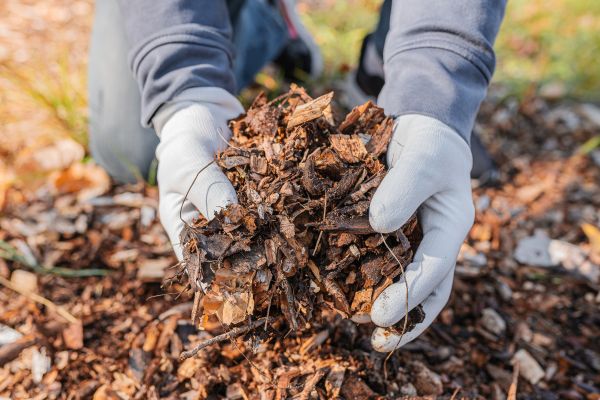 Shredded Mulch Installation in San Luis Obispo