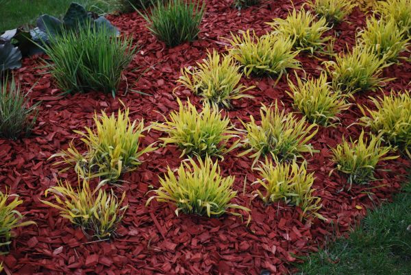 Red Mulch Installation in San Luis Obispo