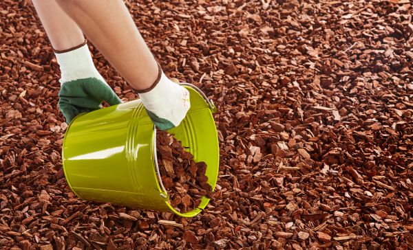 Wood Chip Landscaping in San Luis Obispo
