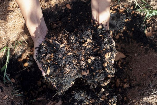 Organic Mulch Installation in San Luis Obispo