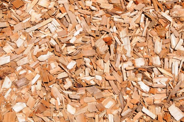 Cypress Mulch Spreading in San Luis Obispo