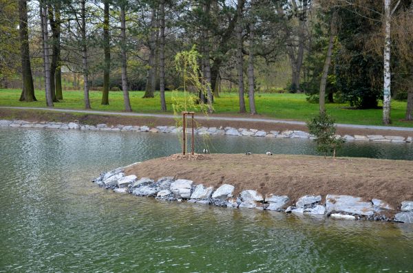 Pond Landscaping Service in San Luis Obispo