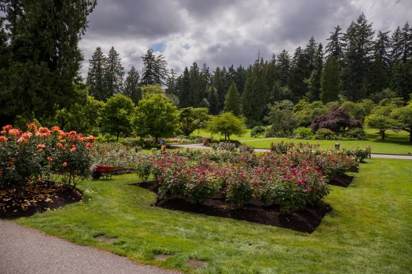 Flower Garden Landscaping in San Luis Obispo
