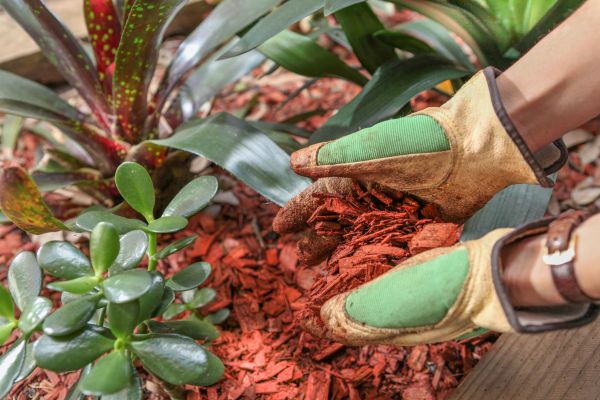 Residential Mulching in San Luis Obispo