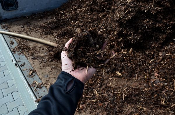 Condo Mulching in San Luis Obispo