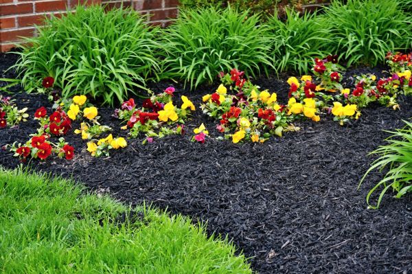 Apartment Mulching in San Luis Obispo