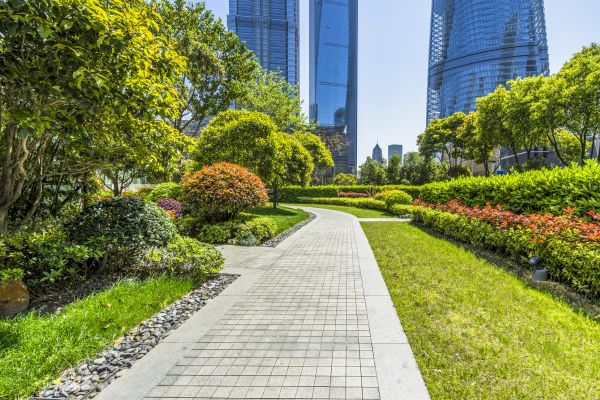 Commercial Landscaping in San Luis Obispo