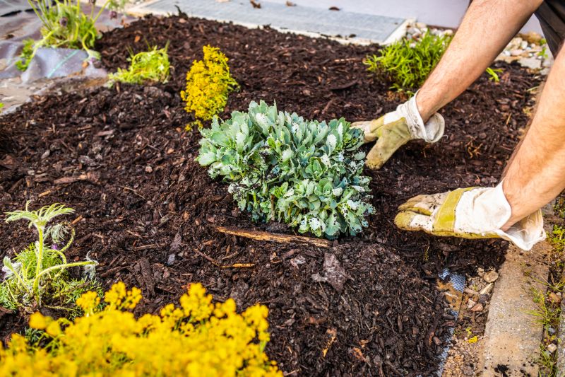 Garden Mulching