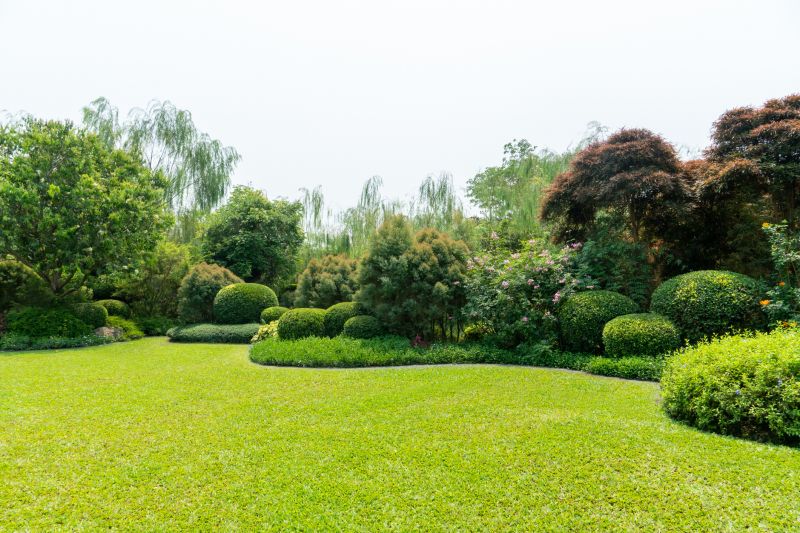 Mature Trees and Shrubs