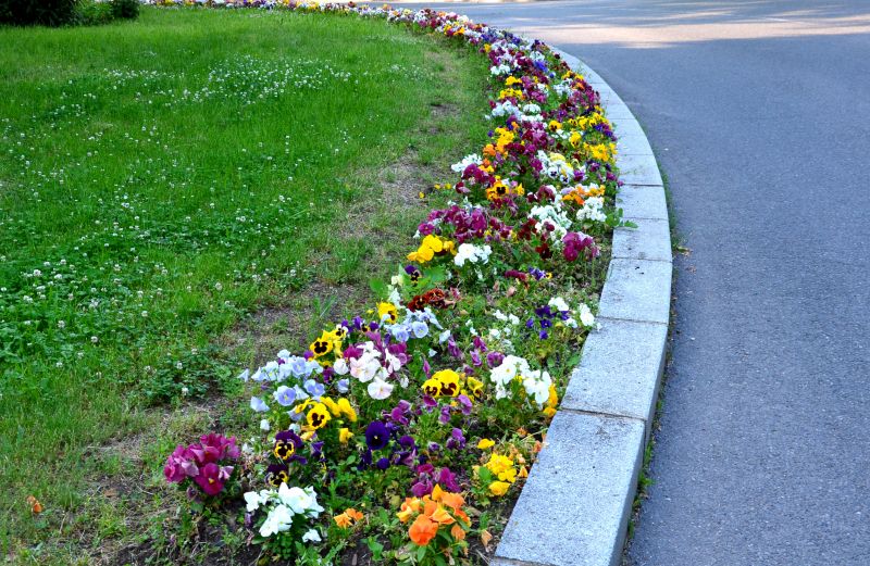 Flower Beds and Borders